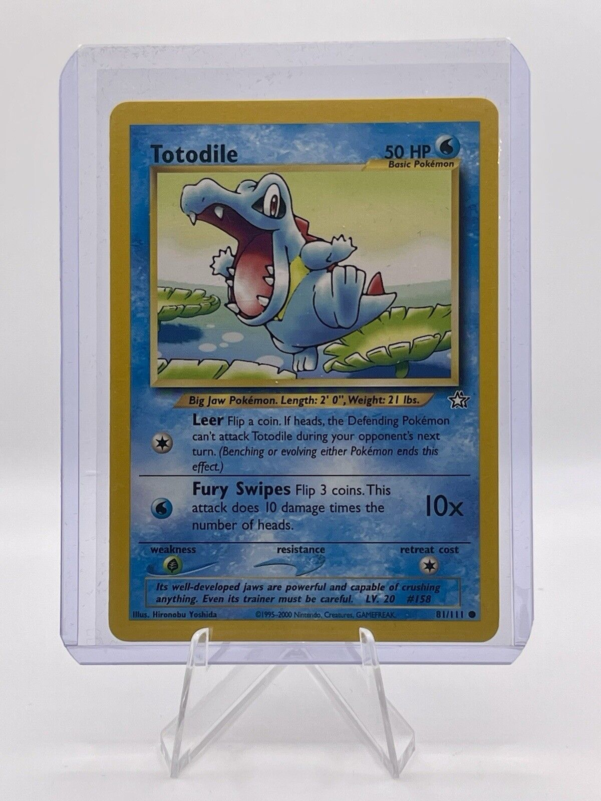 Totodile Neo Genesis 81/111