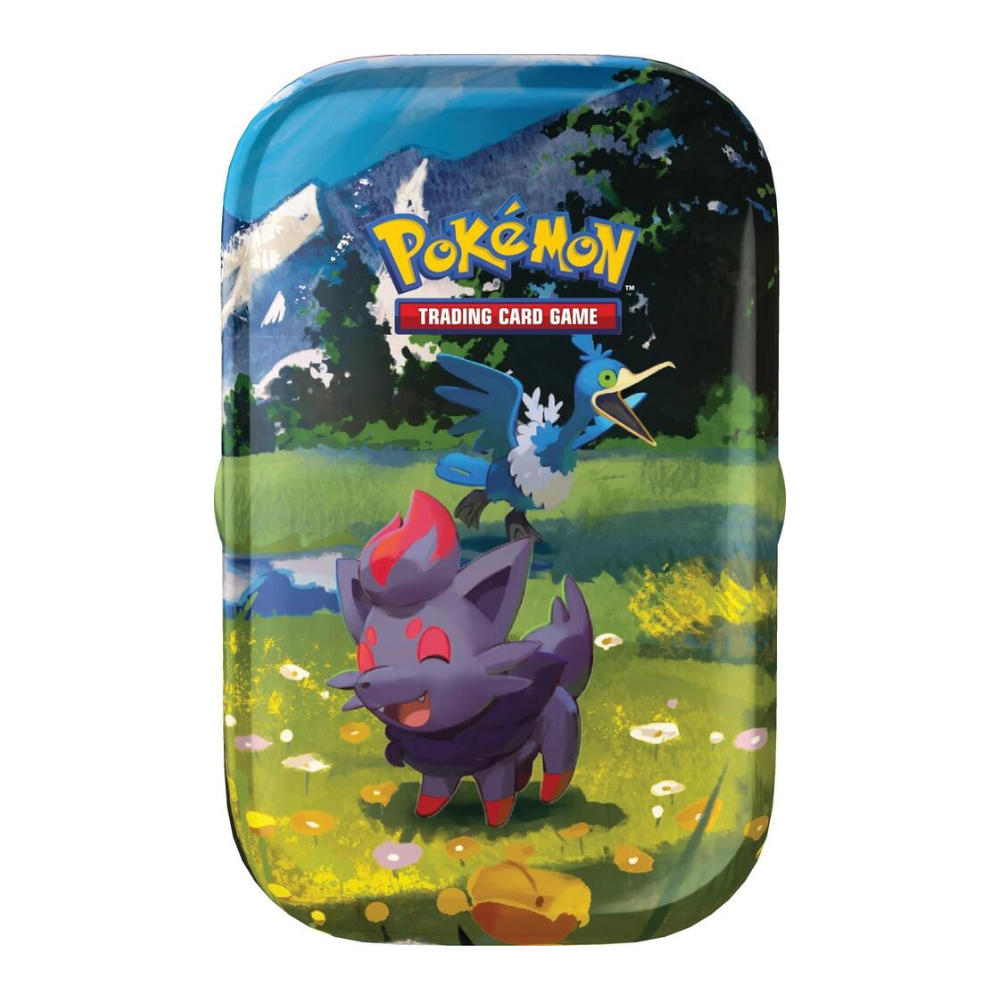 Pokémon TCG Ascended Heroes Mini Tin Zorua & Cramorant (ASC)