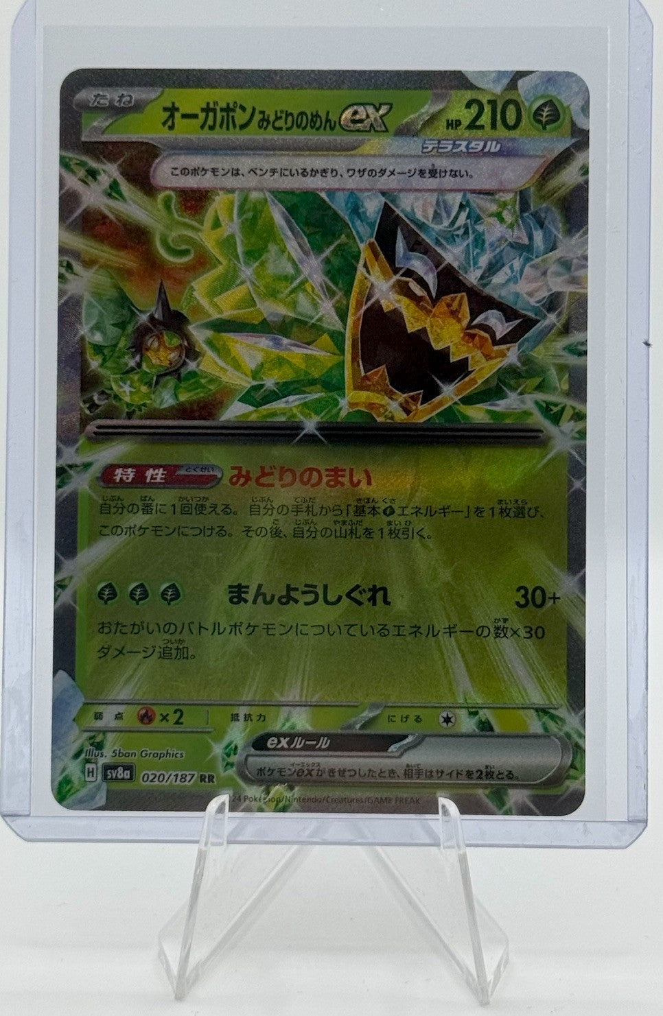 Teal Mask Ogerpon ex 020/187 Sv8a: Terastal Fest Ex Holo (Japanese)